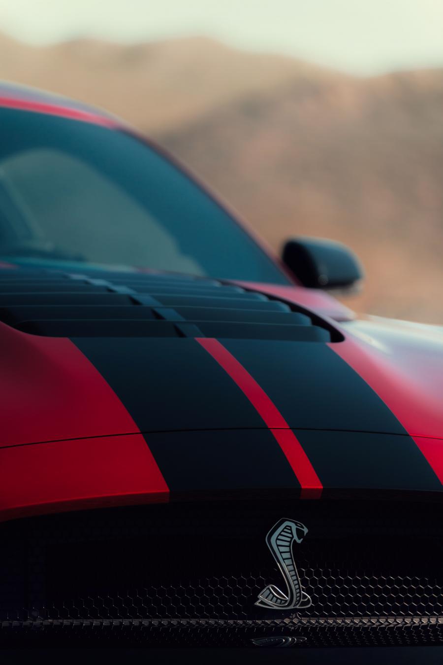 Детали экстерьера Ford Mustang Shelby GT500 2019 года  (фото 78 из 119)